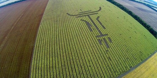 field-4-80702 По всей Украине начали появляться загадочные знаки на полях