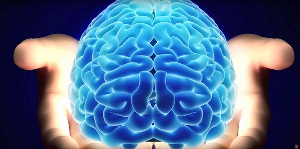 Узнай как быстро работает твой мозг с помощью пятиминутного теста