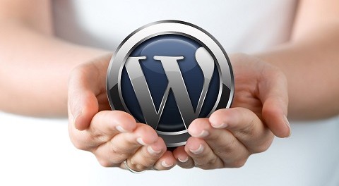 Nemnogo-o-Wordpress Создание сайта на WordPress - преимущества и особенности данного решения