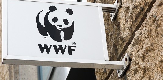 WWF-3 WWF – как идет построения земного рая для «золотого миллиона»