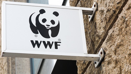 WWF – как идет построения земного рая для «золотого миллиона»