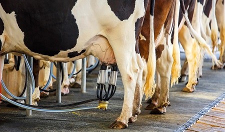 cow-2-18 Где купить молочные и вакуумные насосы в Киеве