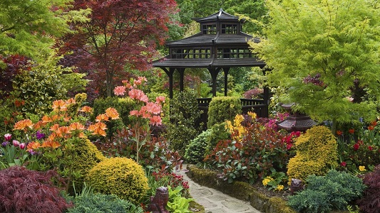 Возможно ли создать японский сад на небольшом участке земли