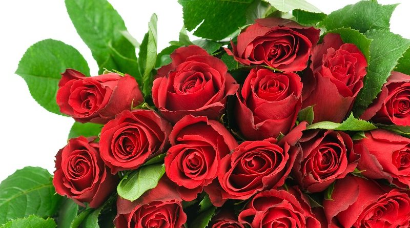 Где заказать бесплатную доставку роз и подарков в Украине
