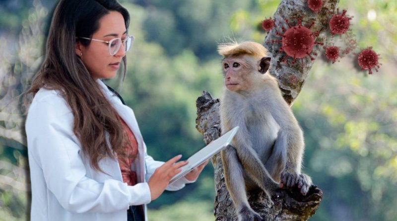 Способы передачи оспы обезьян от человека к человеку