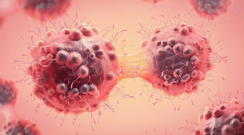 Почему иммунитет не борется с раком?