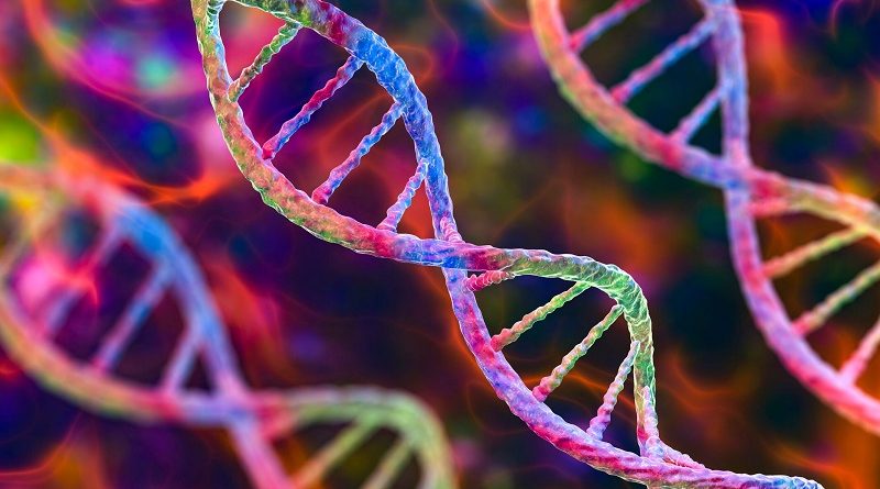 Holiverse отзывы: где генетика встречается с виртуальной реальностью