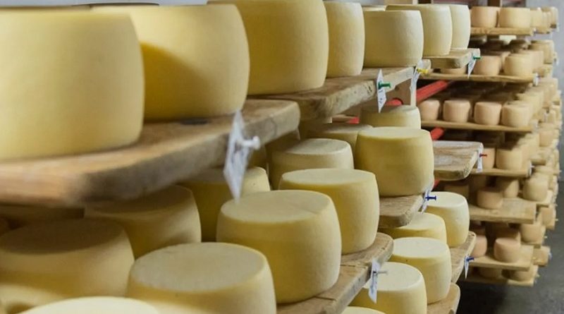 Яке обладнання необхідне для виробництва сиру та де купити з доставленням