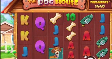 Обзор слота The Dog House Megaways: плюсы, минусы и мнения игроков