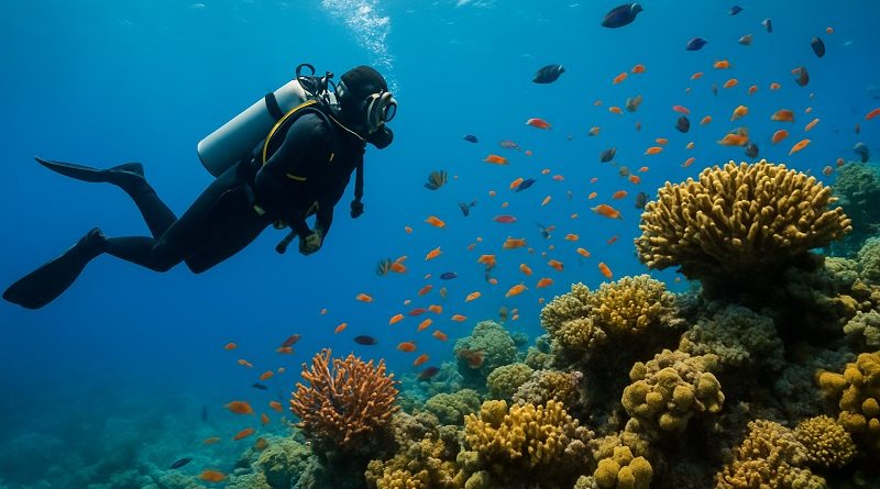 Tauchen in Marsa Alam: Ein Paradies für Unterwasserabenteuer