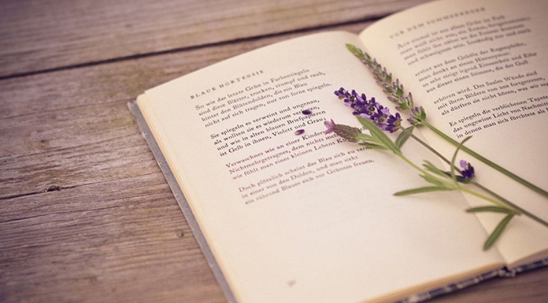 Исчезновение поэзии в XXI веке: утрата интереса или смена формы?