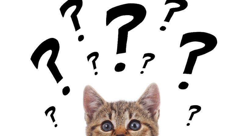 Что человек регулярно не замечает в своей жизни